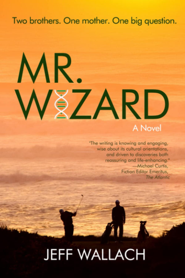 Mr. Wizard: A Novel cover