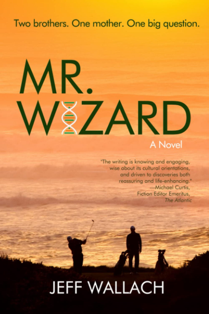 Mr. Wizard: A Novel by Jeff Wallach — book cover